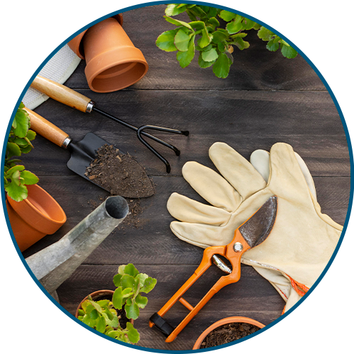 categoria jardinagem